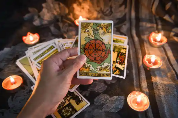 tarot cards Webb
